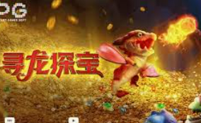 Bwin体育2024最新版