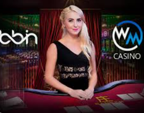 Bwin体育电脑免费版